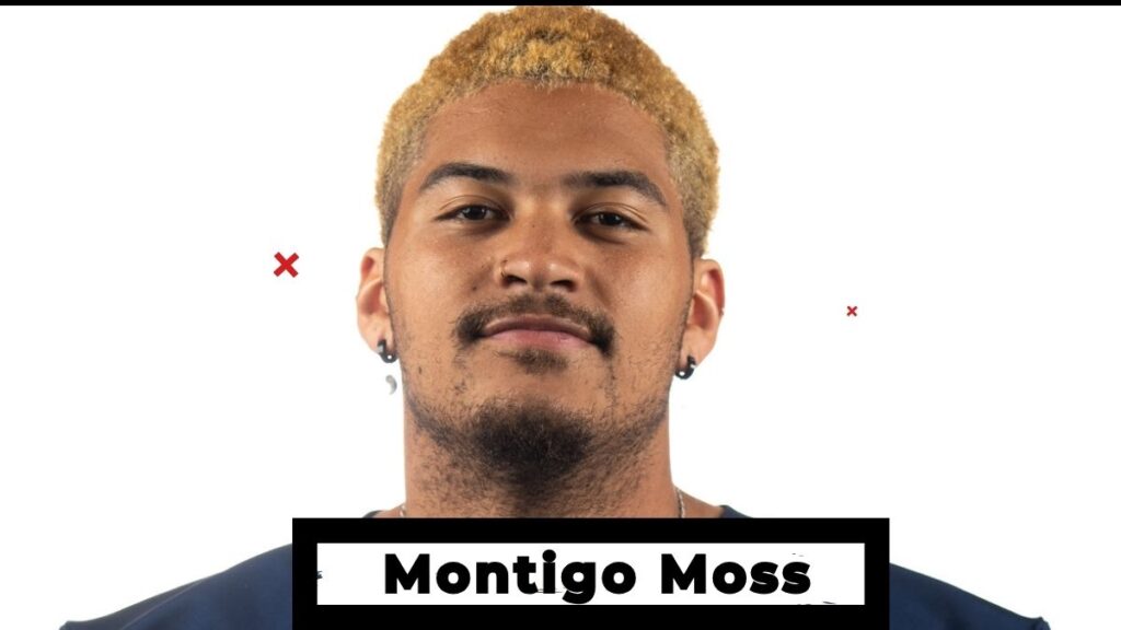Montigo Moss